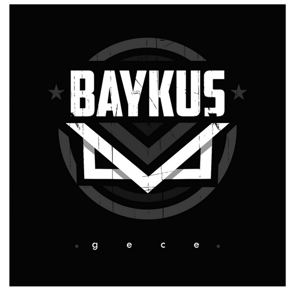 baykus-gece.jpg