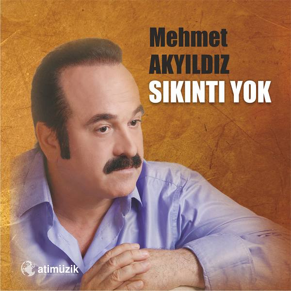 mehmet_akyildiz_2012.jpg