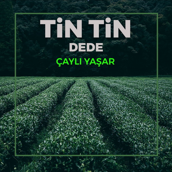 Çaylı Yaşar Çaylı Yaşar