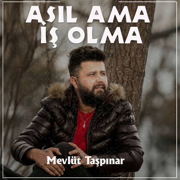 mevlut_taspinar-asil_ama_i-s_olma.jpg