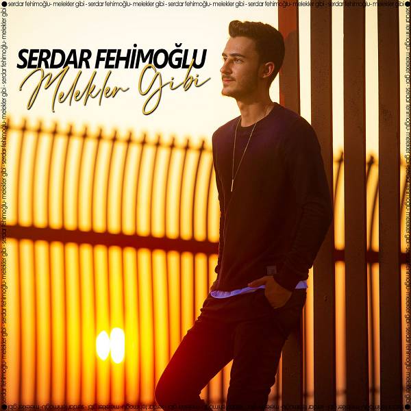 Serdar Fehimoğlu - 2020 Serdar Fehimoğlu - 2020